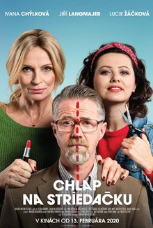 Chlap na striedačku poster