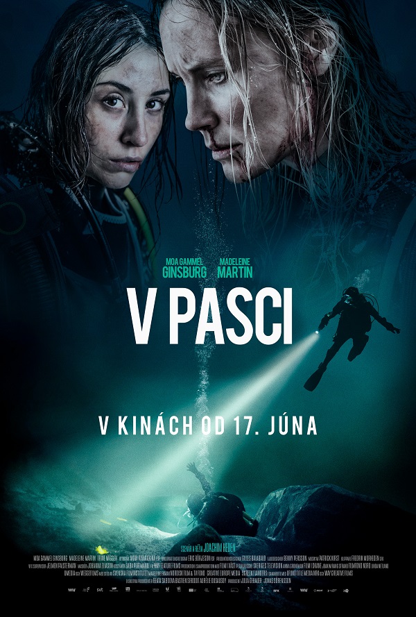 V pasci poster