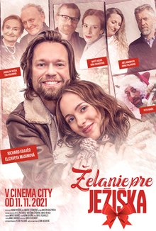 Želanie pre Ježiska poster