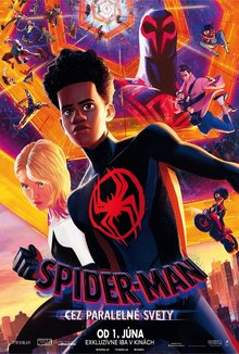Spider-Man: Cez paralelné svety poster