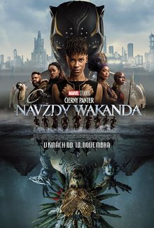 Čierny Panter: Navždy Wakanda poster