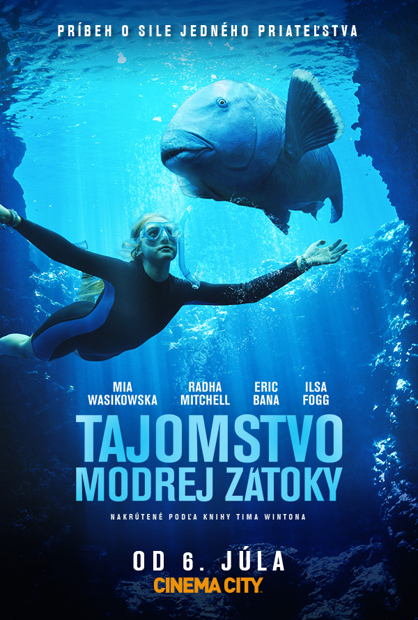 Tajomstvo modrej zátoky poster