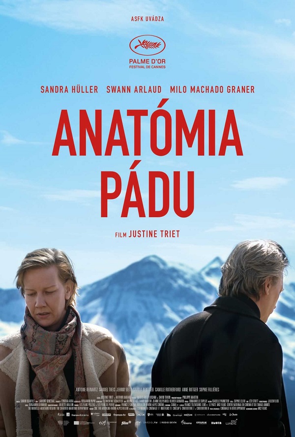 Anatómia pádu poster