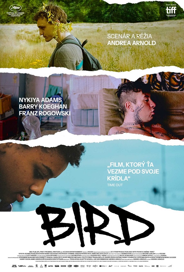 Bird poster