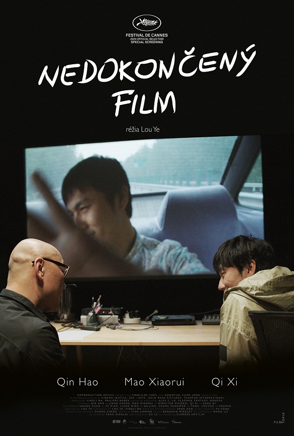 Nedokončený film poster