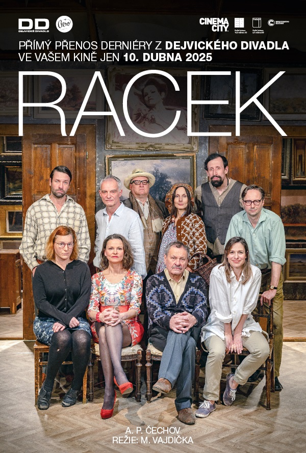 Dejvické divadlo: Racek poster
