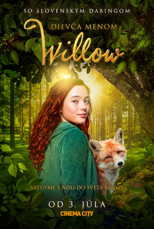 Dievča menom Willow poster