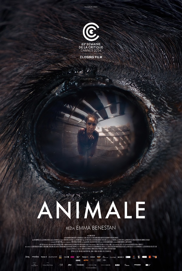 Animale poster