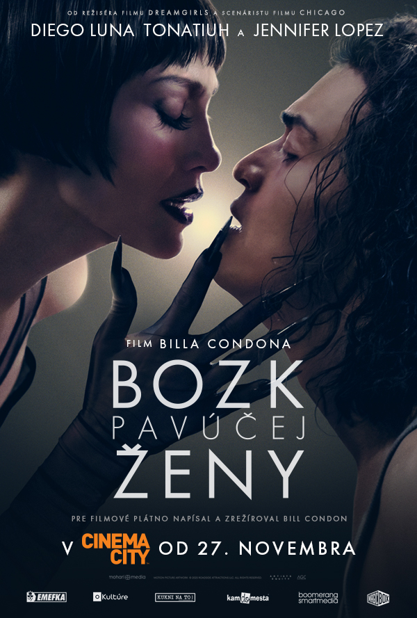 Bozk pavúčej ženy poster