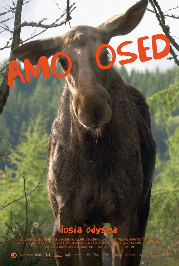 AMOOSED: losia odysea poster